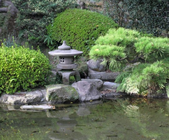 Pond Construction Services